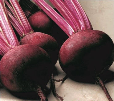 Beetroot